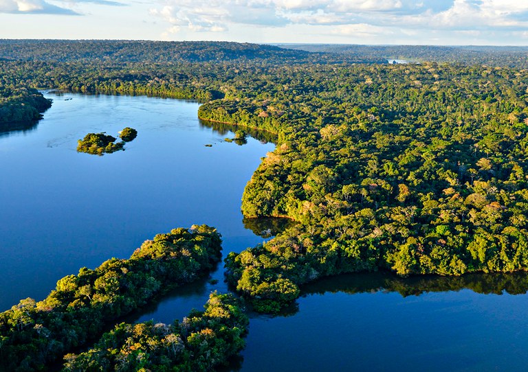 Imagem da Floresta Amazônica - Fonte: Gov