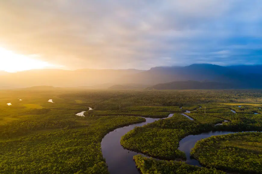 Imagem da Floresta Amazônica - Fonte: Conhecimento Científico